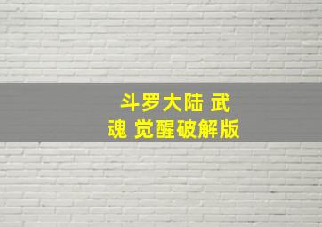 斗罗大陆 武魂 觉醒破解版